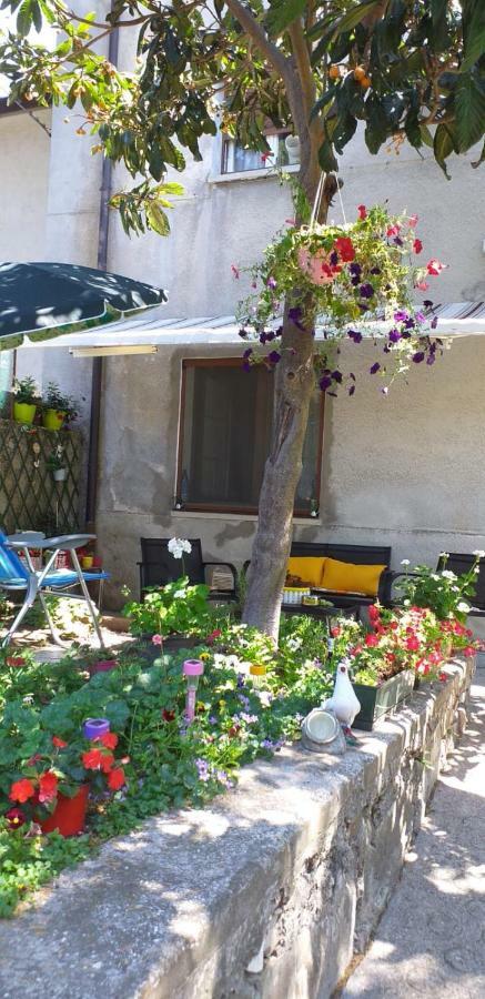 Casa Vacanze Poison Trieste Exterior photo
